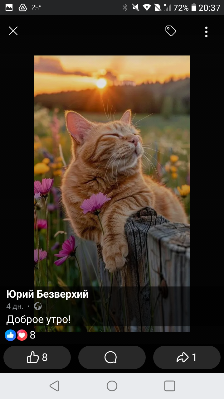 Скриншот 3