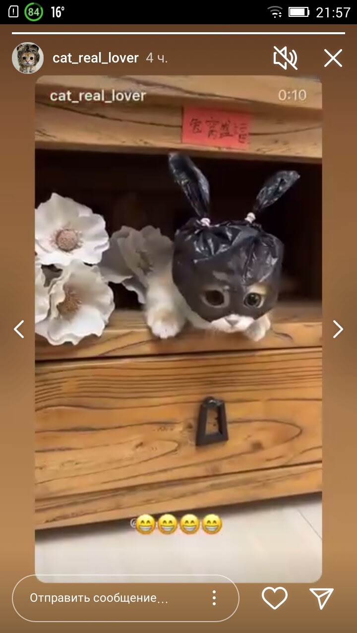 Скриншот 1